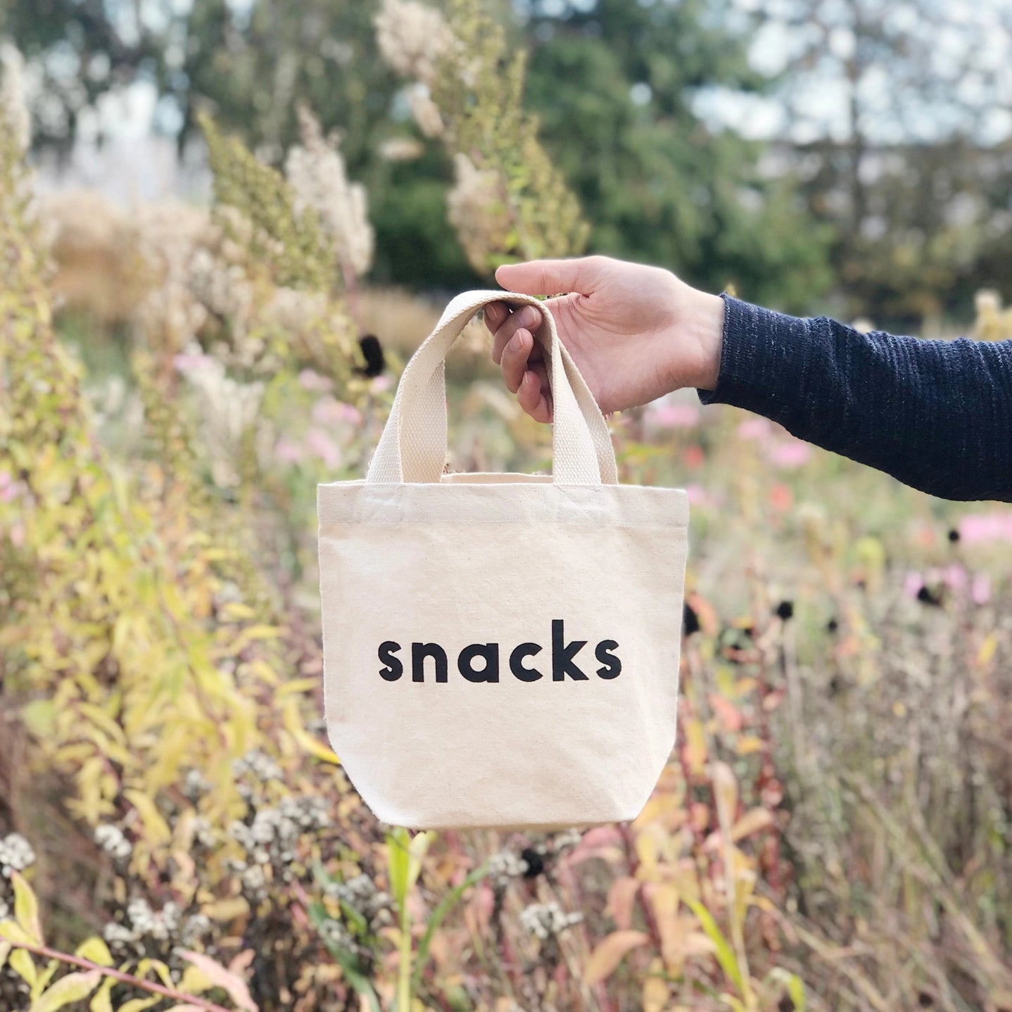 Small Snacks Canvas Tote Bag - Natural