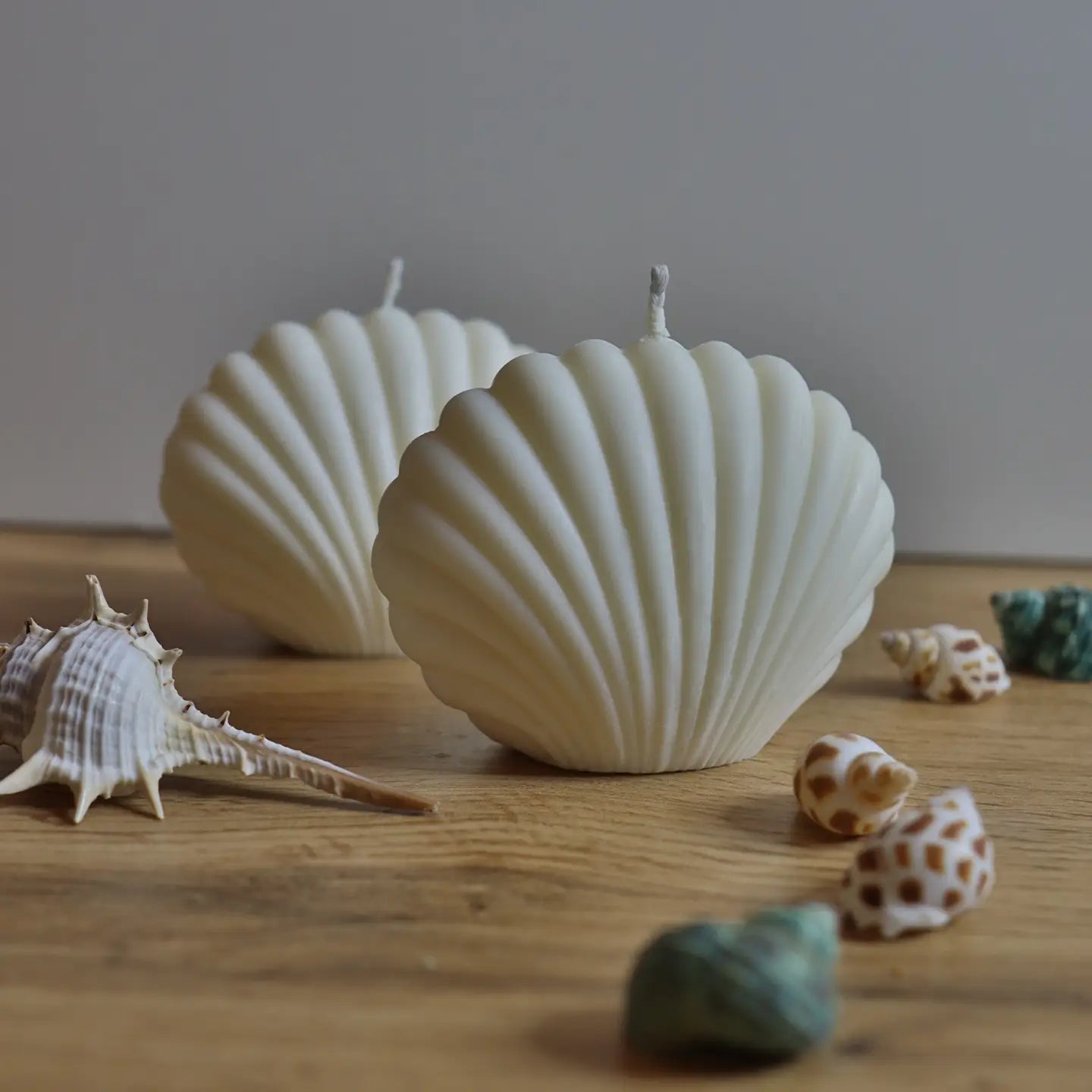 Shell - Ocean Breeze Scented Candle